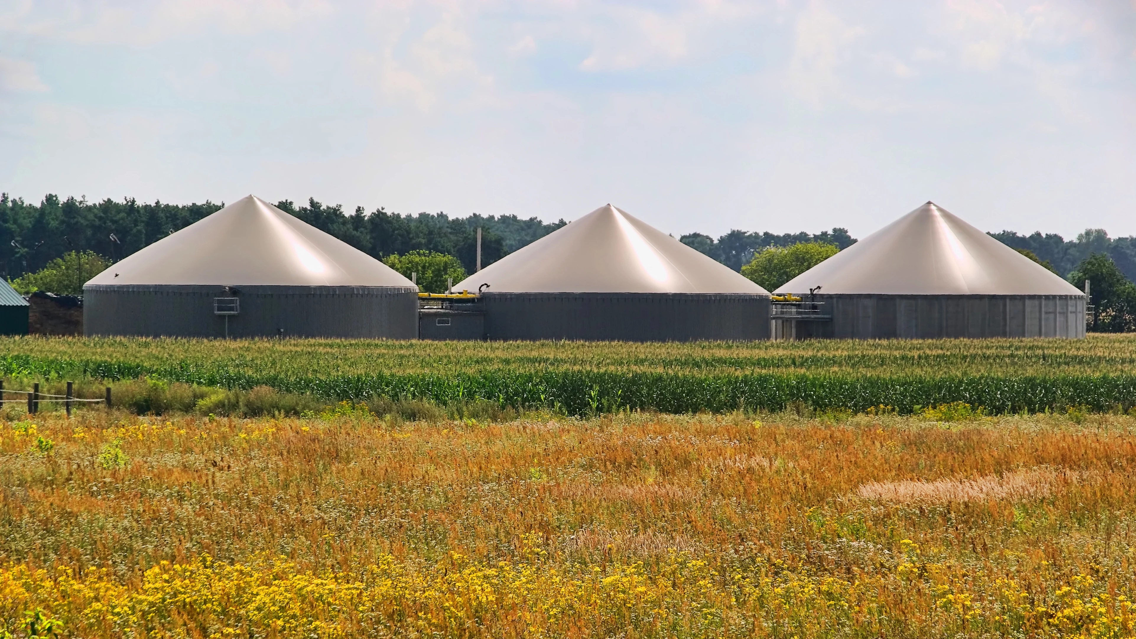 Generating clean energy from organic waste | Electric Supply & Equipment